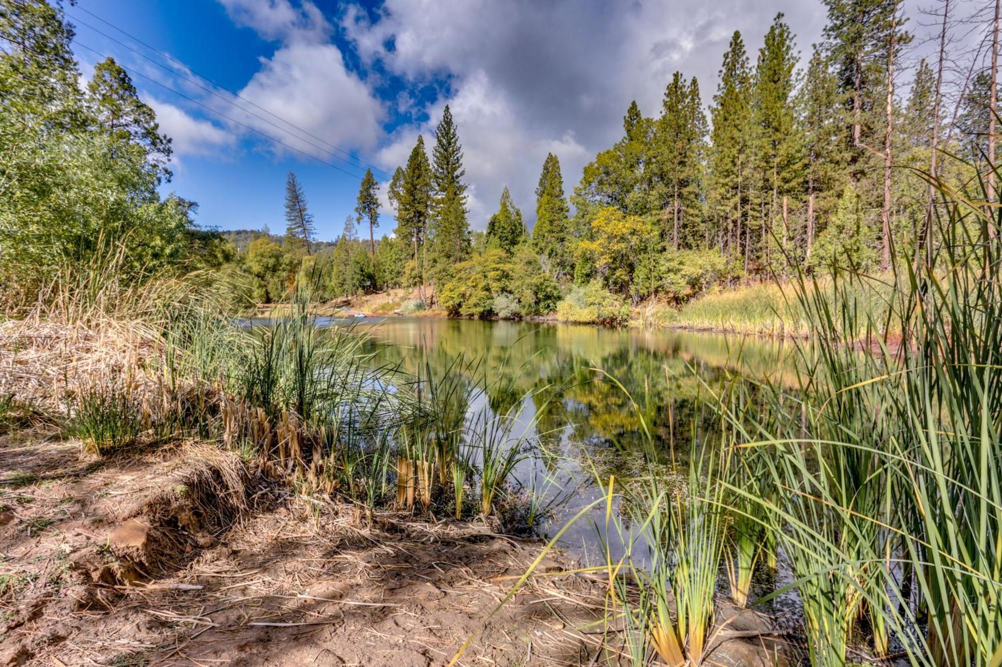 Pet-Friendly Escape With Game Room And Fire Pit! North Fork Экстерьер фото